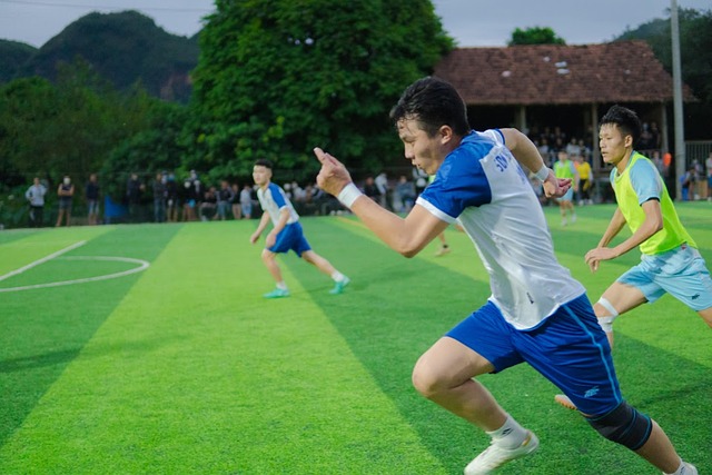 如此漂亮的 如此漂亮的