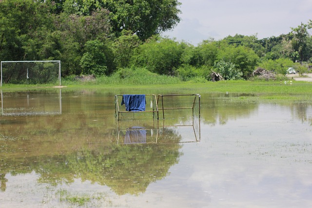风格和策略 风格和策略