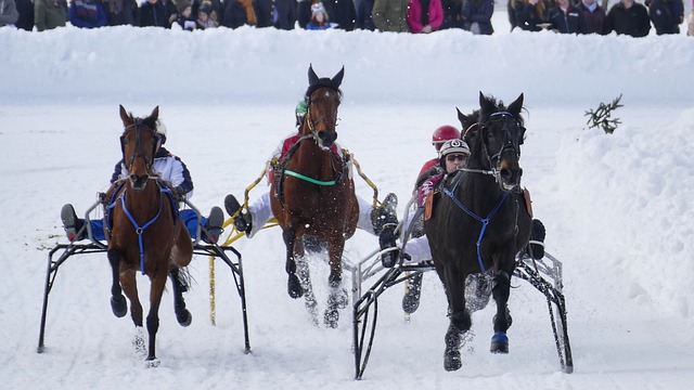紧张的节奏 紧张的节奏
