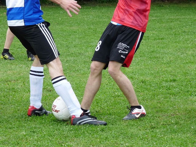 他们最近签 他们最近签