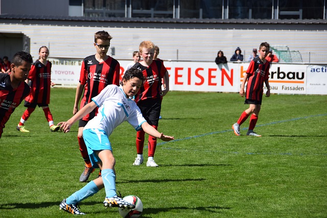 坚不可摧的 坚不可摧的